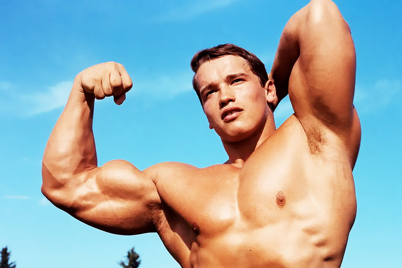 Arnold Arms Workout