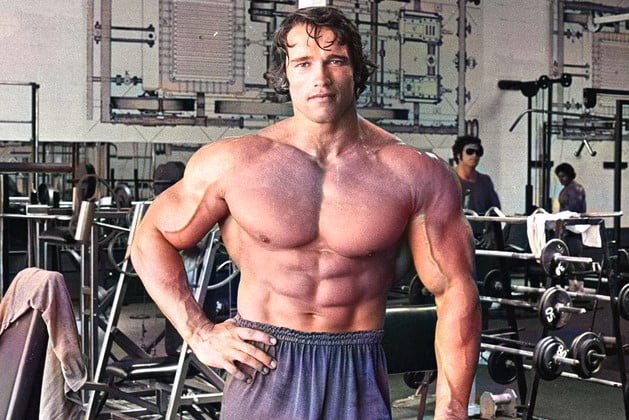 Arnold's Ultimate Guide to Effective Muscle Growth