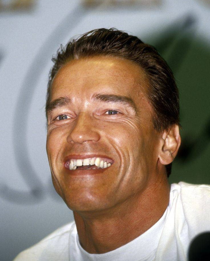 Austrian Oak to Hollywood Icon: The Journey of Arnold Schwarzenegger