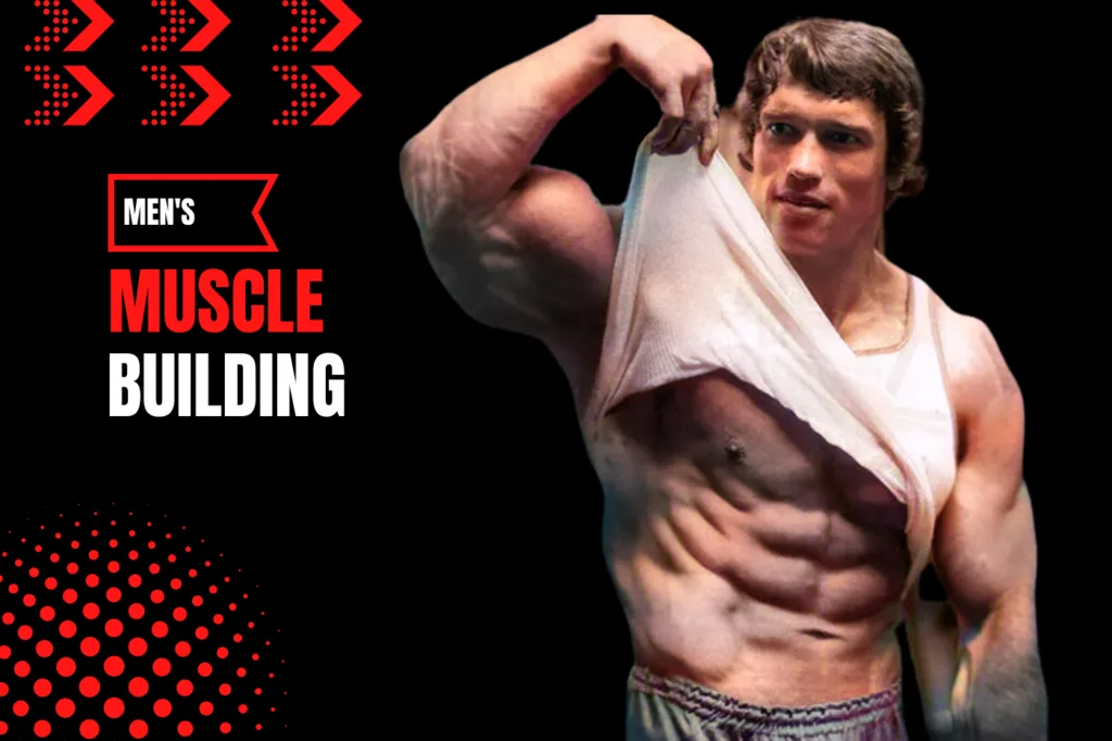 Men's Muscle Building
