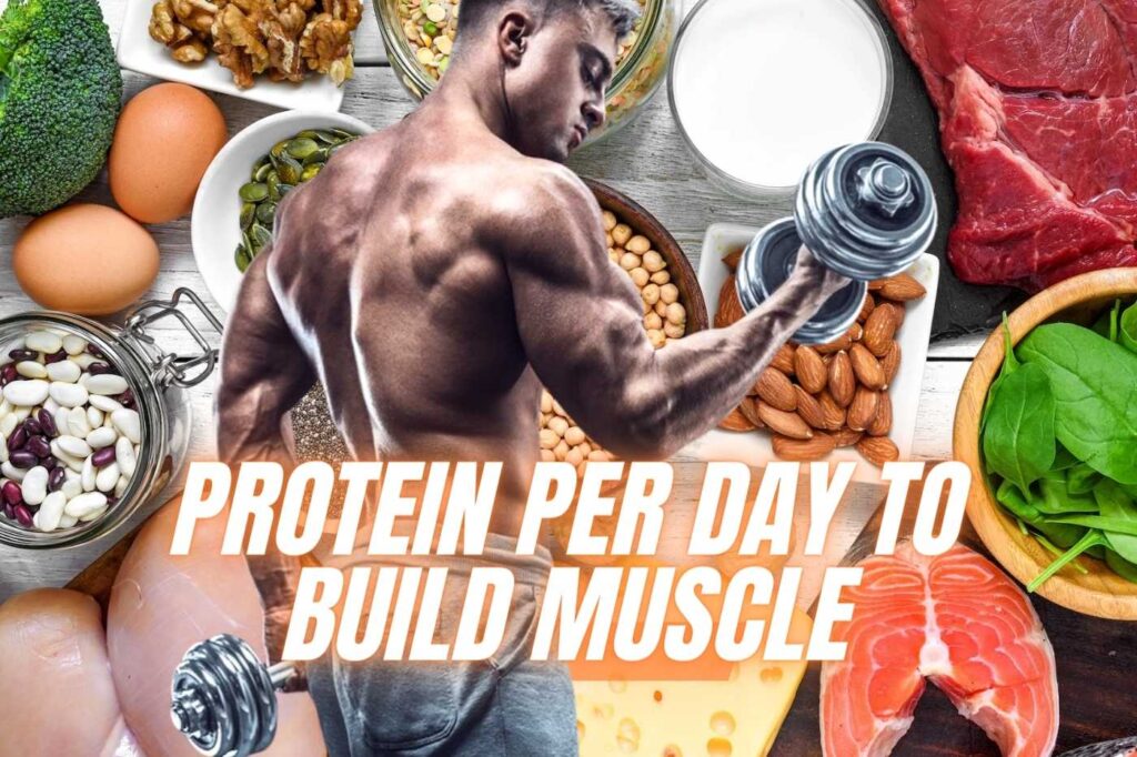 How Much Protein Per Day to Build Muscle?