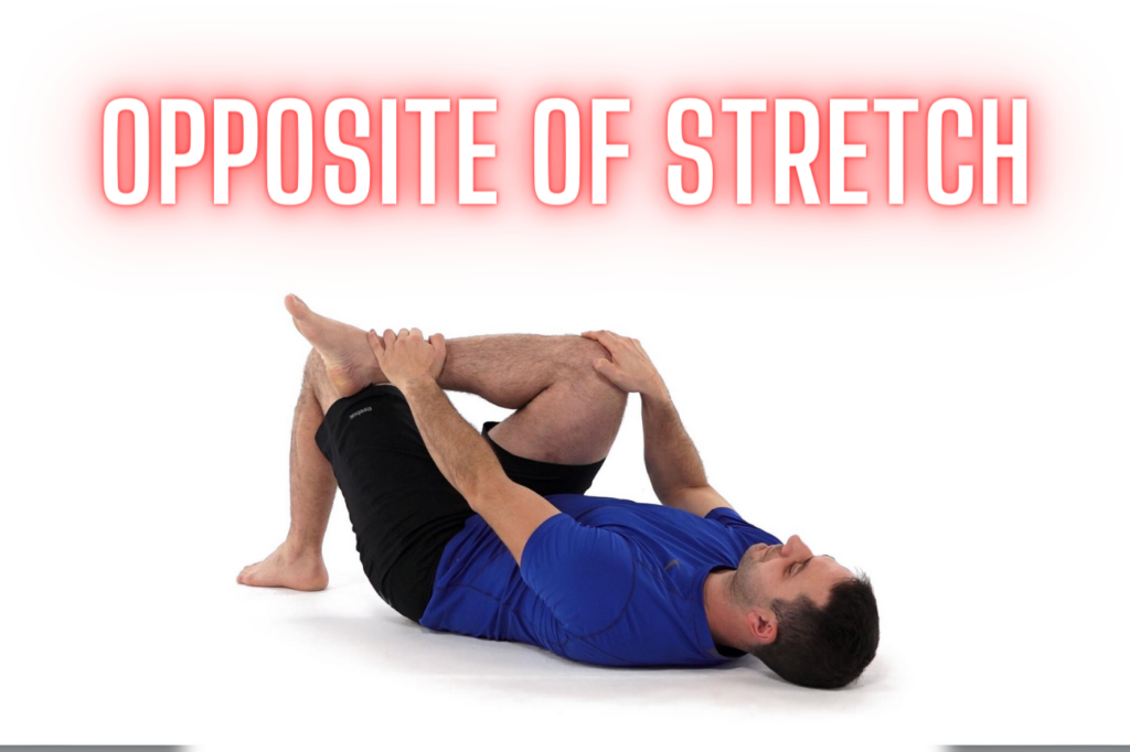 Opposite of Stretch