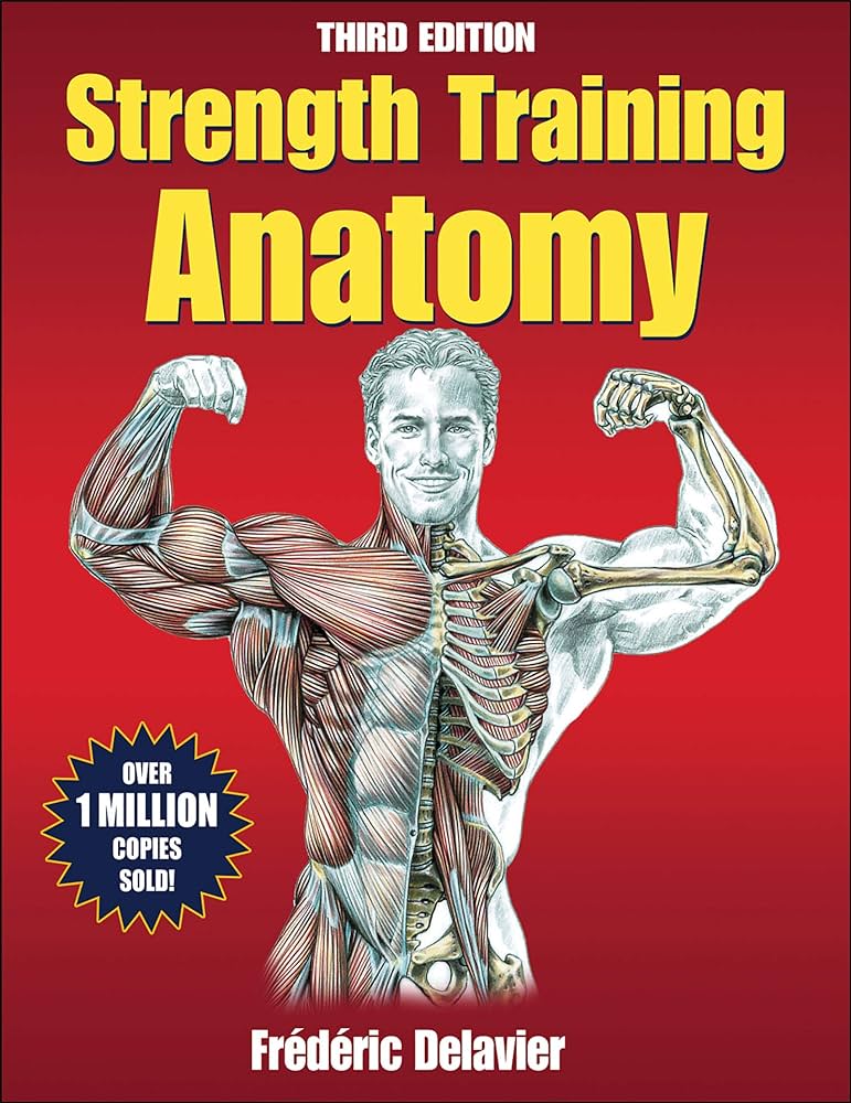 Anatomy And Strength Training