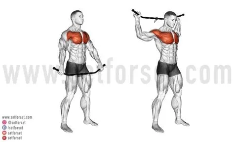 Chest Dynamic Stretches: Boost Flexibility & Strength! Chest Dynamic Stretches