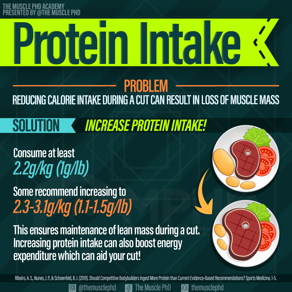 How Much Protein When Cutting Bodybuilding