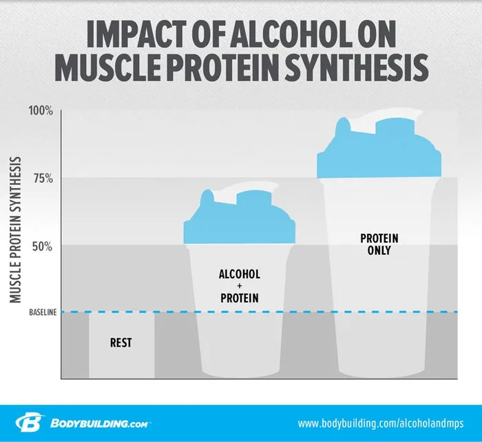 Muscle Growth And Alcohol