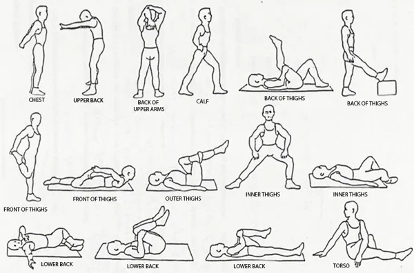 Suppleness Exercises
