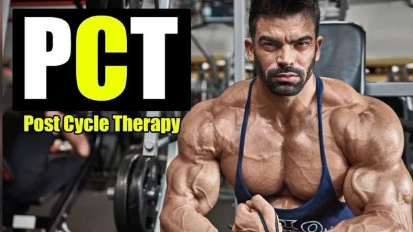 What Does Pct Mean in Bodybuilding
