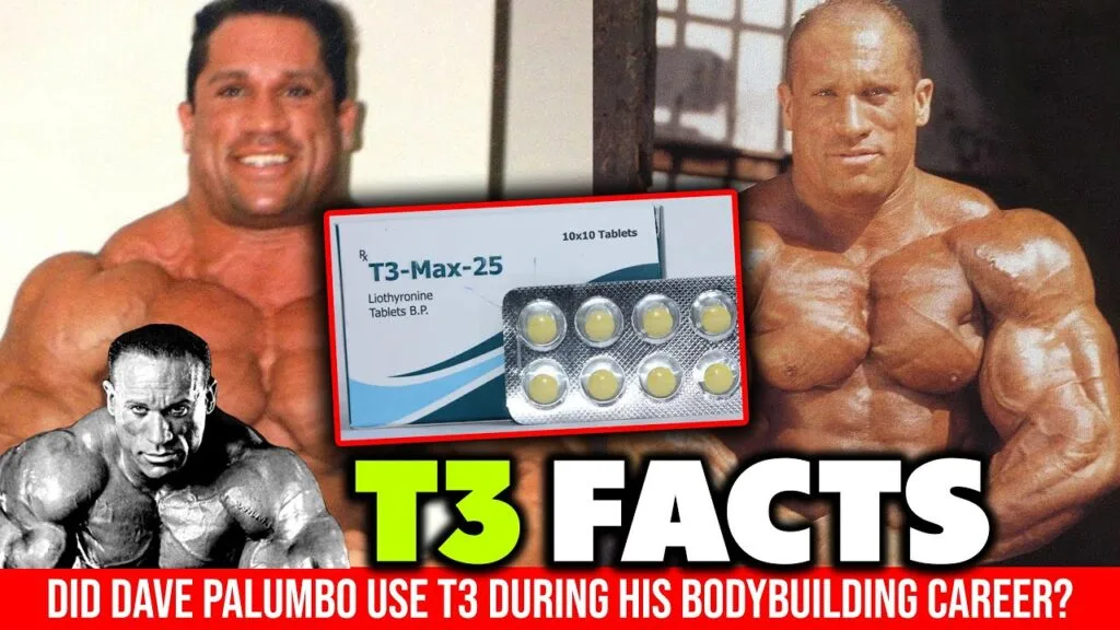 What Does T3 Do for Bodybuilding?: Boost Your Gains with Thyroid Hormone What Does T3 Do for Bodybuilding?