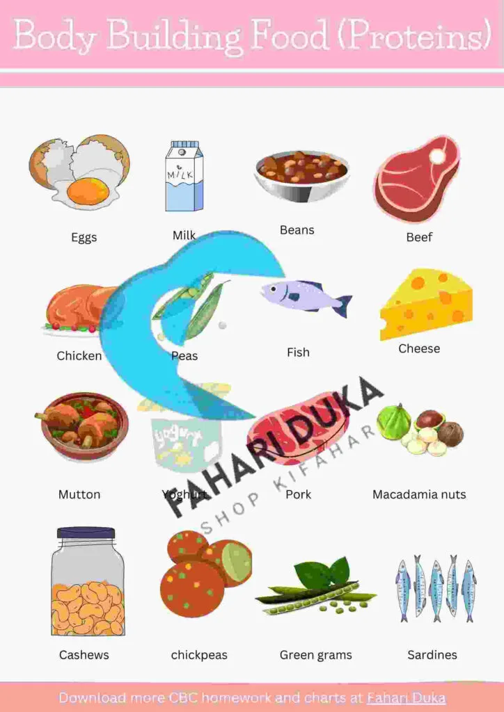 Are Body Building Foods Essential for Muscle Growth? Are Body Building Foods