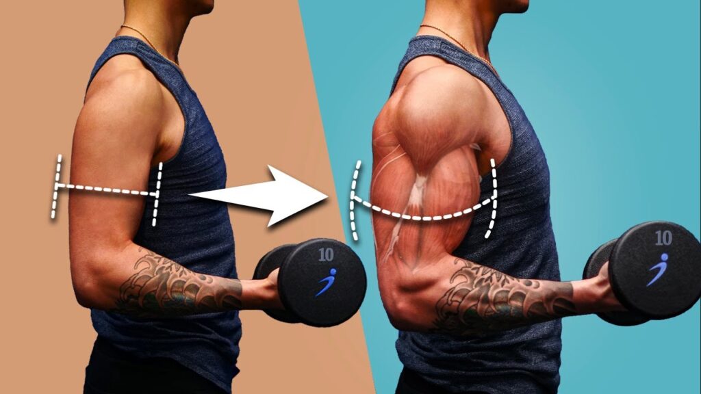 Easiest Way to Increase Muscle Mass