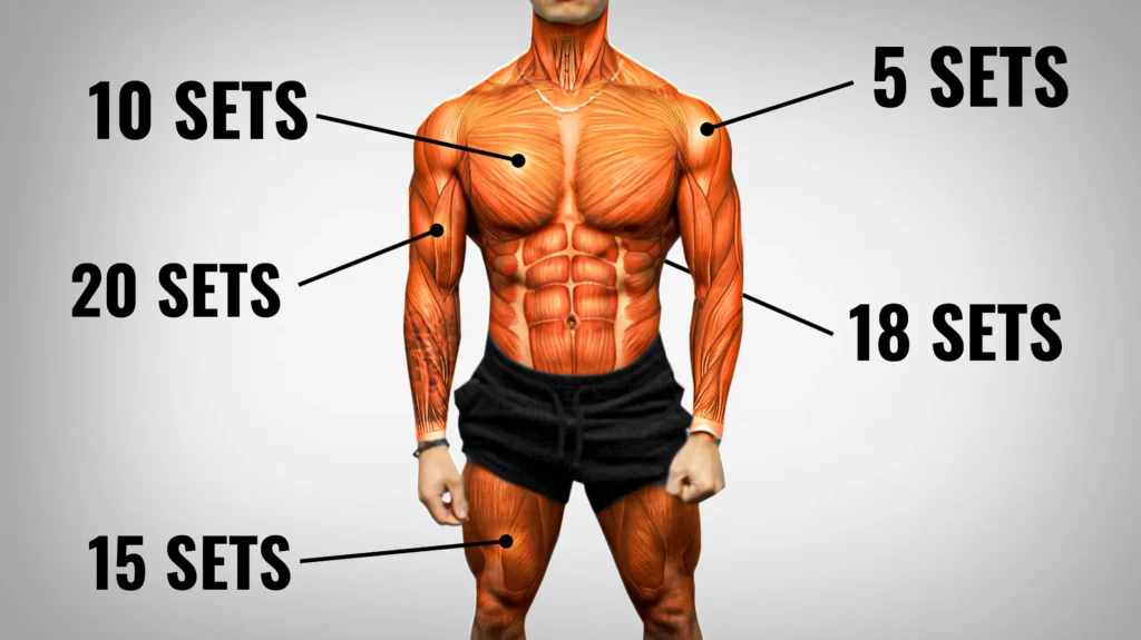 How Much Muscle Gain Per Week