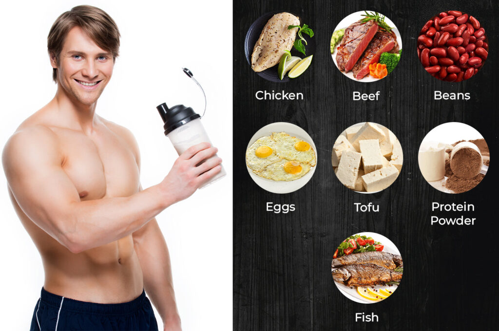 Is Muscle Building Protein