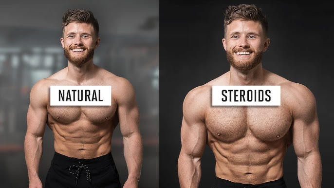 What is a Natural Muscle Builder