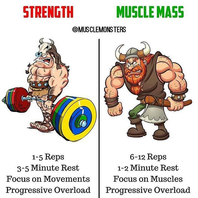 What is the Difference between Muscle Mass And Muscle Endurance