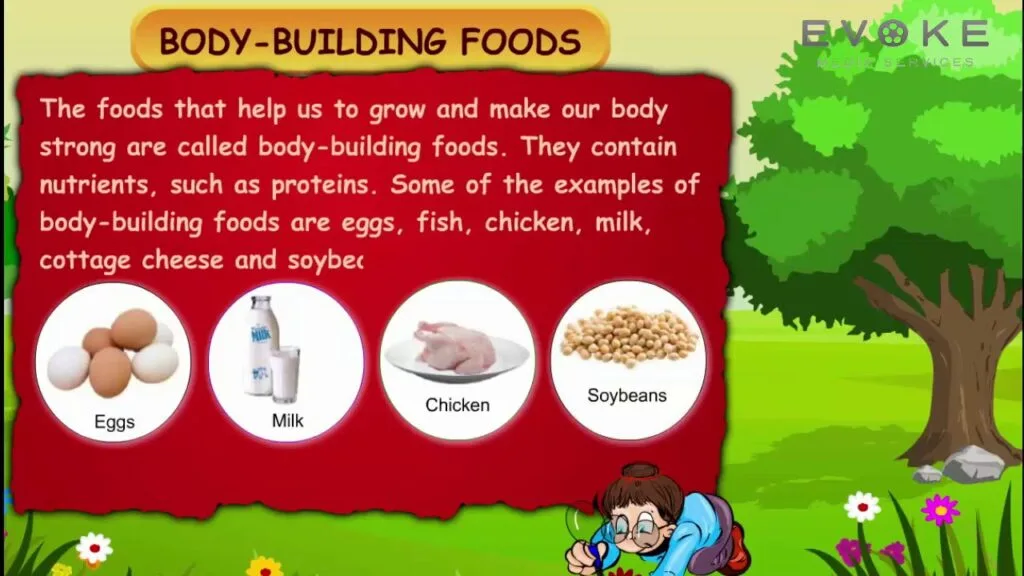 What is the Meaning of Body Building Food: Ultimate Nutrition Guide What is the Meaning of Body Building Food