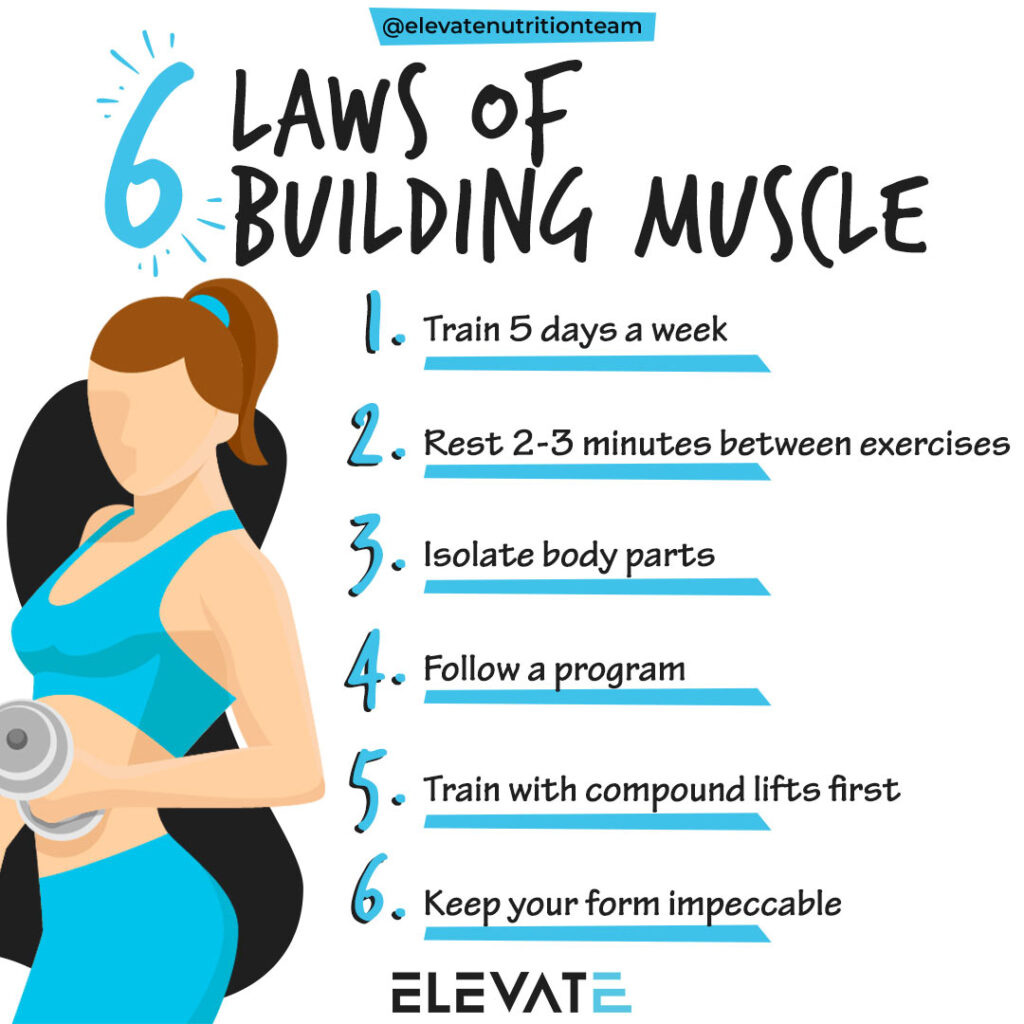 Why Building Muscle is Important