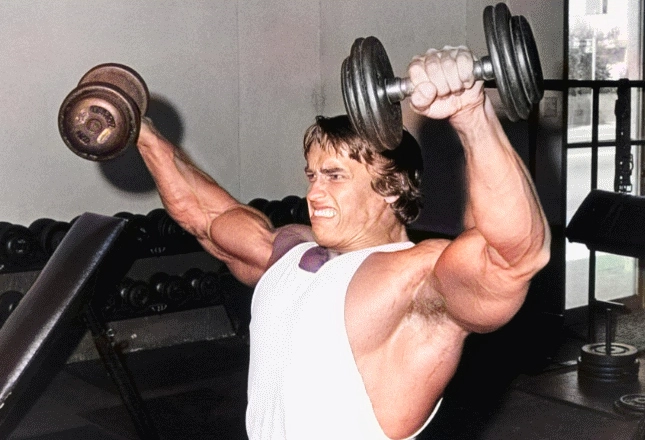 Alternate Dumbbell Front Raise