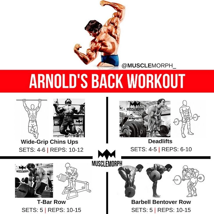 Arnold Schwarzenegger's Back Workout