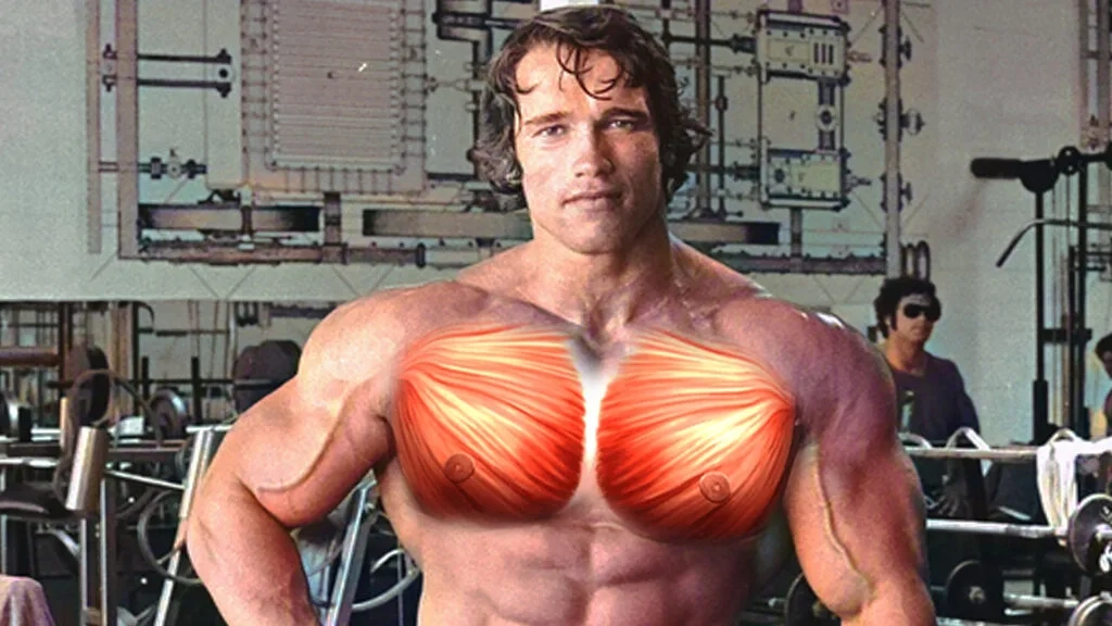 Arnold’s Approach To Training