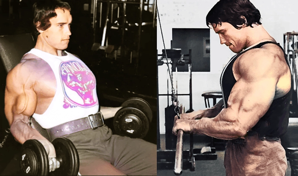 Forearm Exercise Wrist Curls