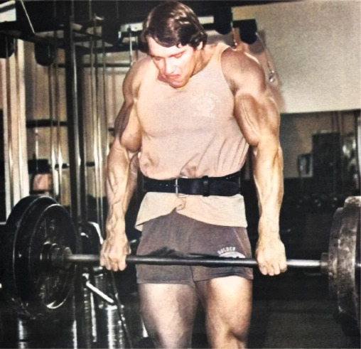 Programming Your Shoulder Workouts