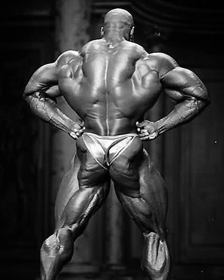 Rear Lat Spread