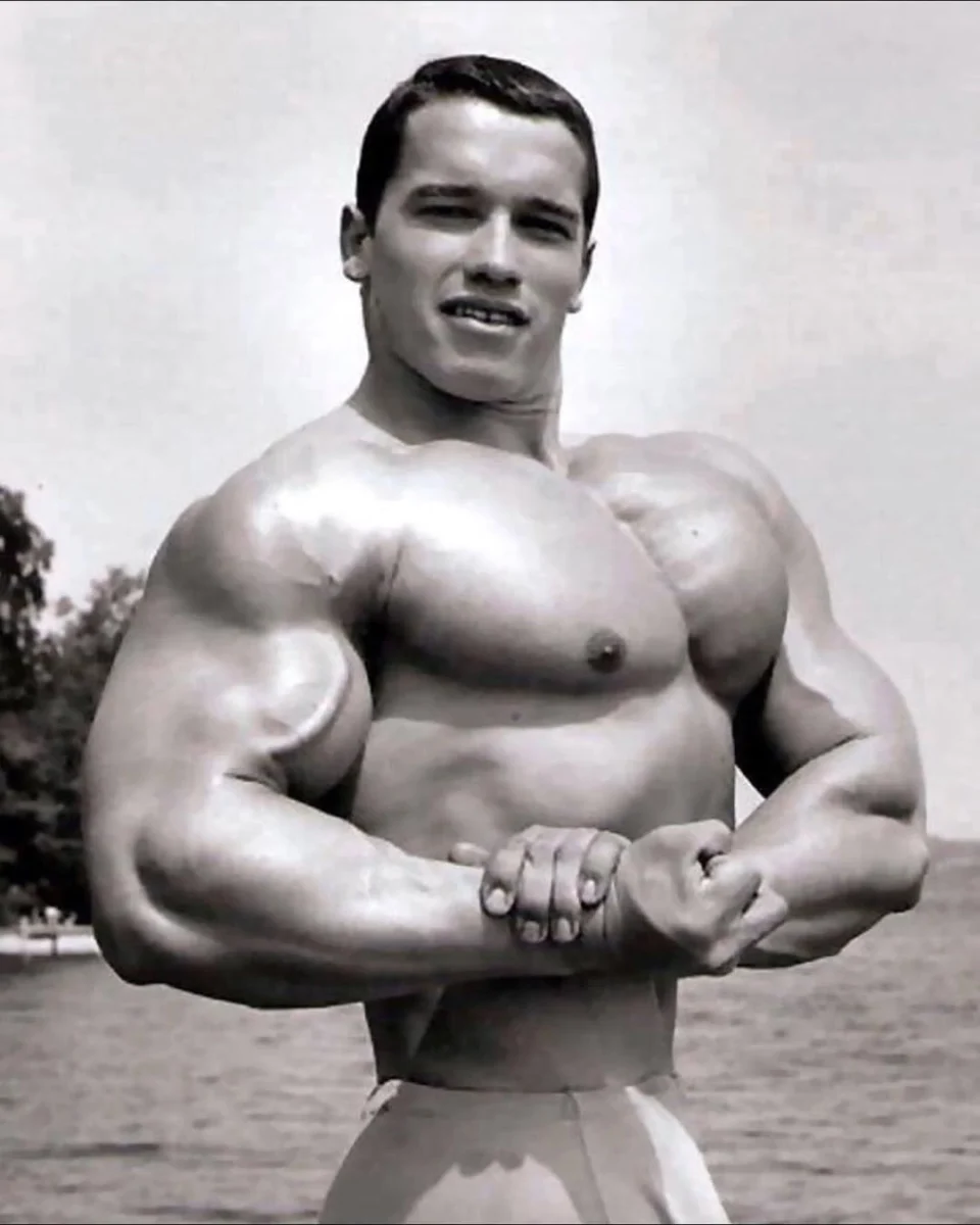 Side Chest
