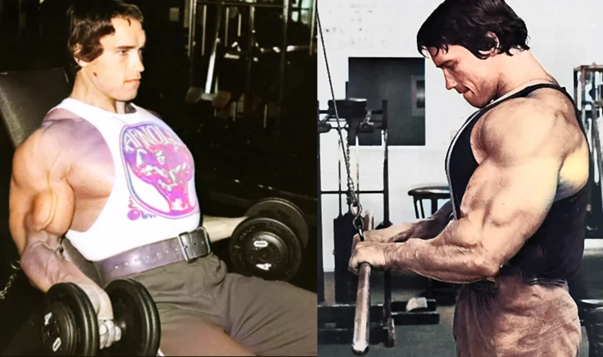 Superset 1 Biceps and Triceps Combo