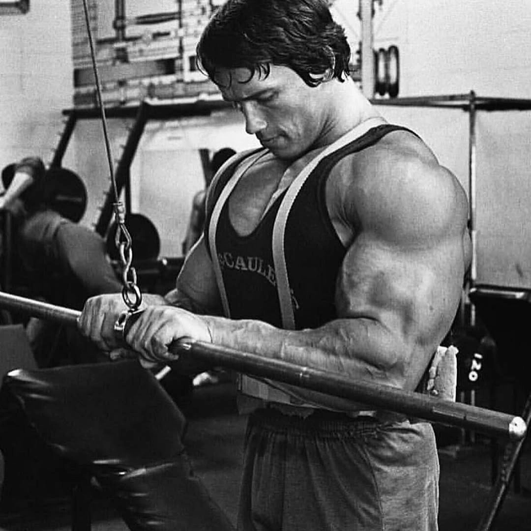 Triceps Transformation Sculpting Your Arms Like Arnold