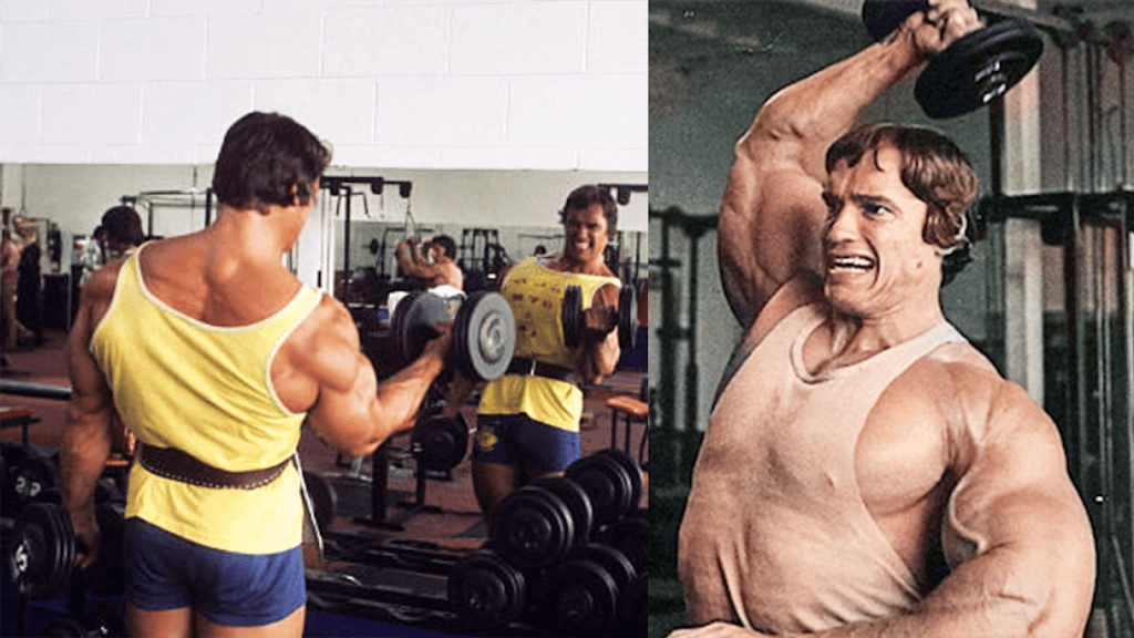 Arnold Arms Workout: Guide & Routines for Massive Arms arnold arm workout