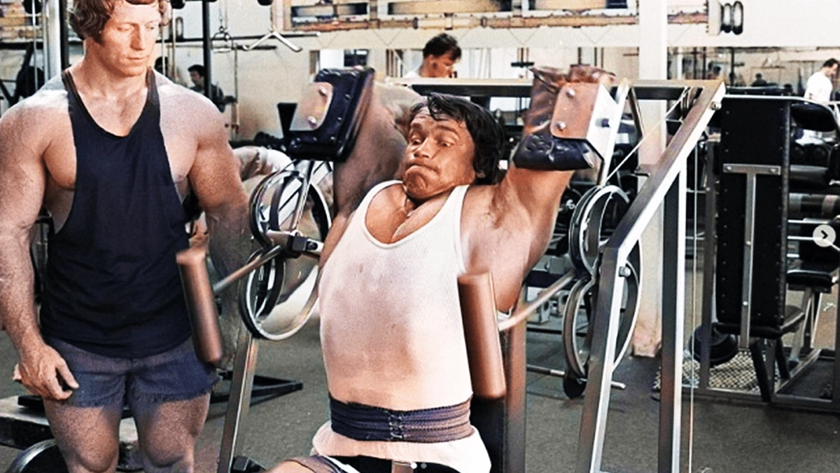 arnold back muscle exercise