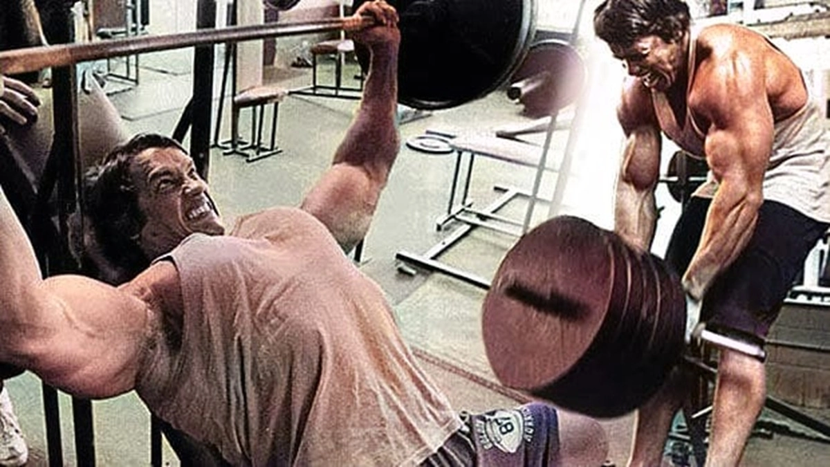 arnold chest and back workout