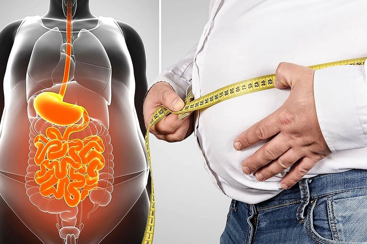 how your body burns fat