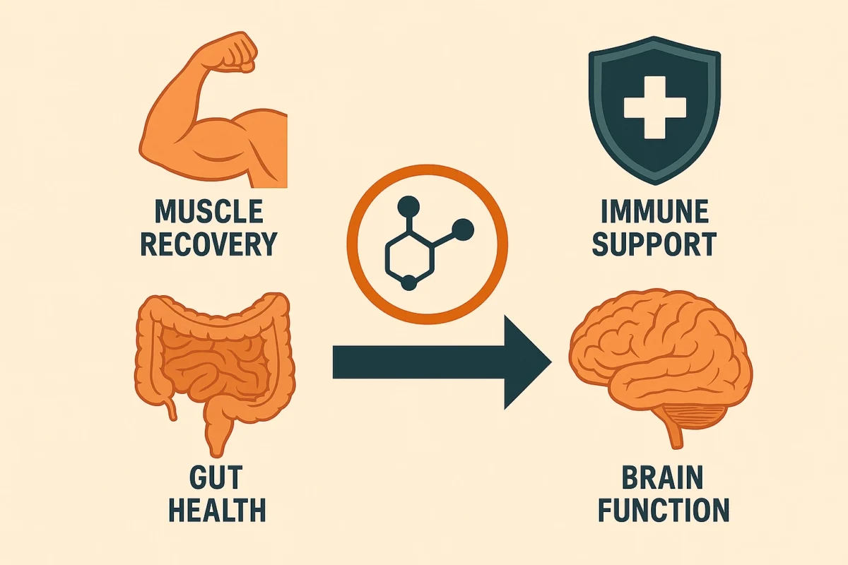 Benefits of L-Glutamine