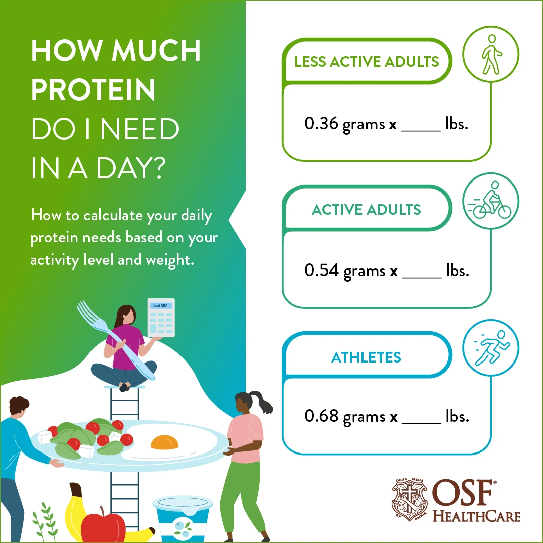 build muscle without protein